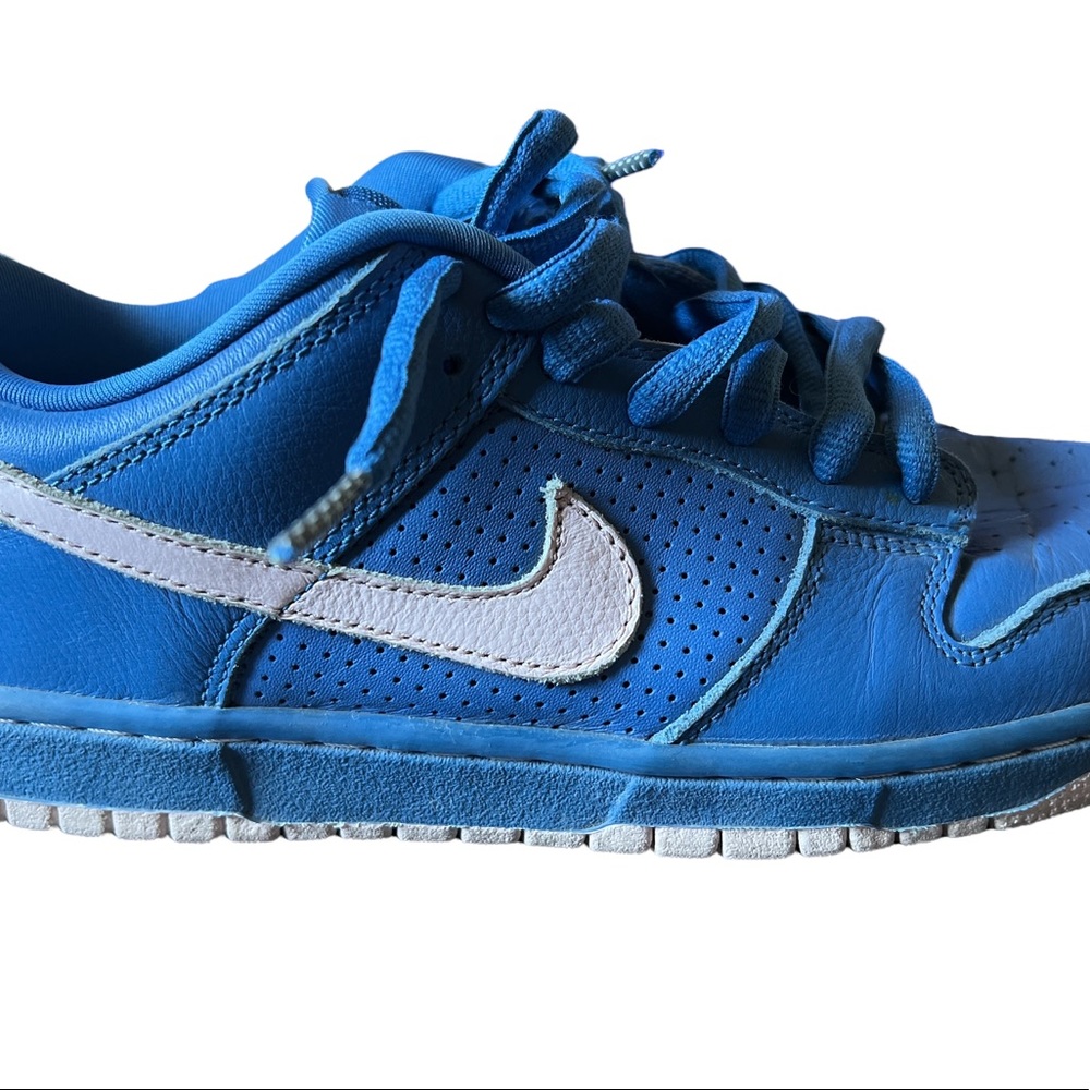 Nike Dunk Low Premium SB
